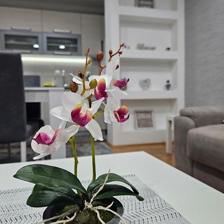 Apartman Vukota Pirot Exterior photo